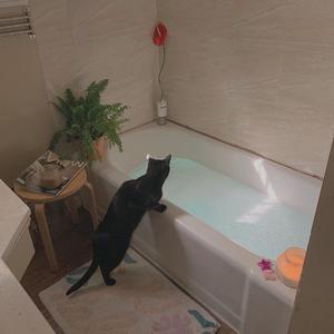 日本老熟妇黑森毛毛HD
